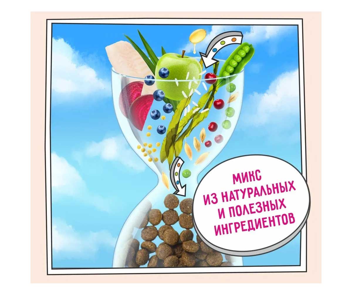 Сухой Корм Zillii (Зилли) Для Собак Мелких Пород с Чувствительным Пищеварением Белая Рыба и Лосось Adult Dog Small Breed Sensitive Digestion 800г 5658090 (*14)