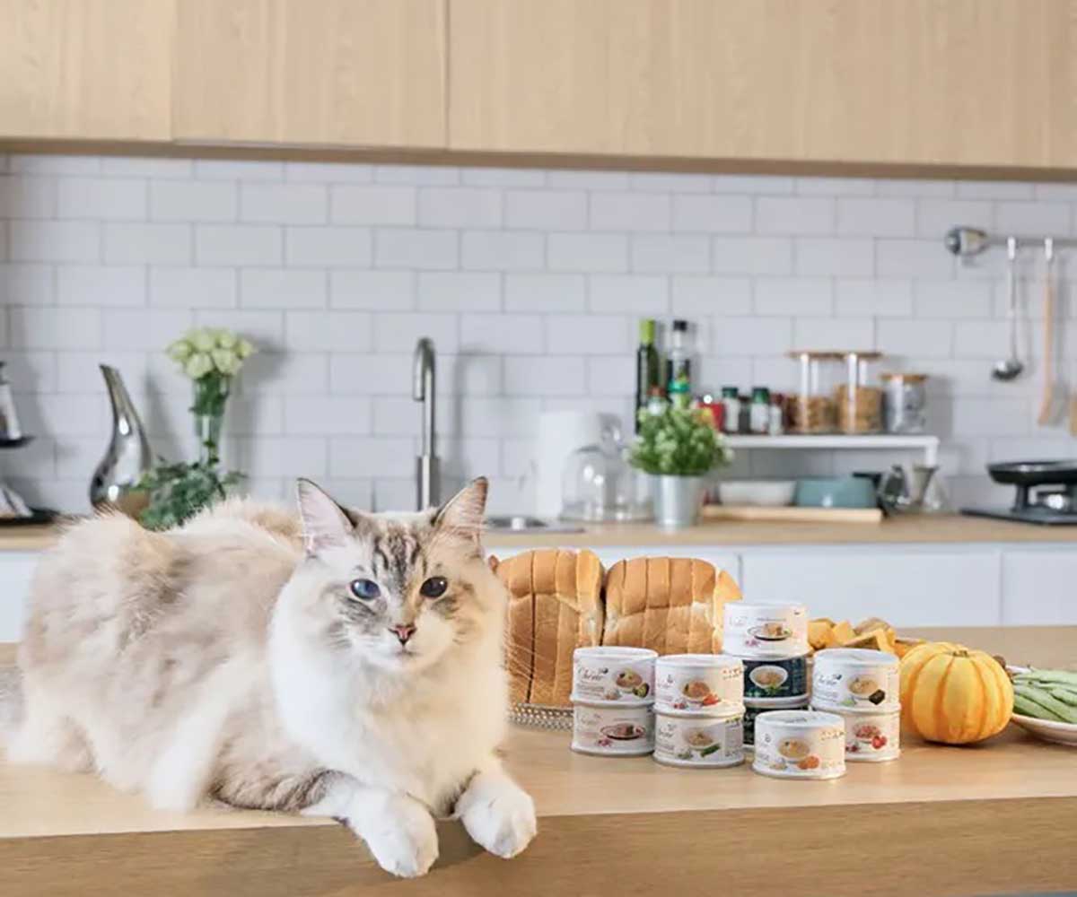 Консервы Pettric (Пэттрик) Cherie Для Кошек Курица в Подливе 80г 600333
