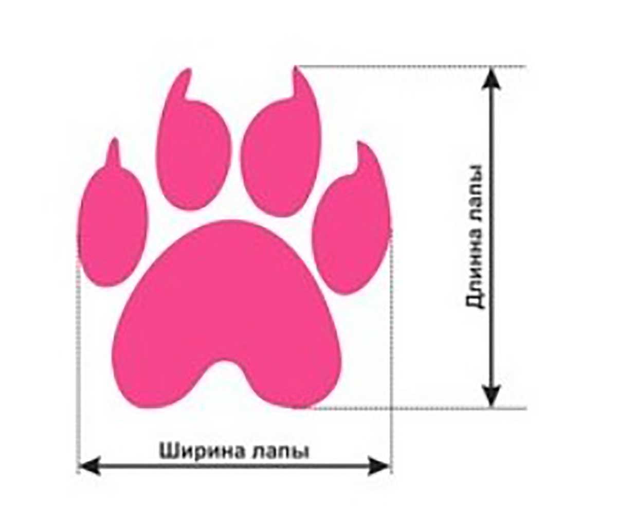 Сапожки Pet Fashion (Пет Фэшн) Для Собак Спорт 22 Мягкие 1 Красный