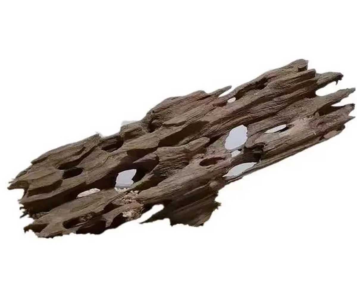 Декорация Prime (Прайм) Коряга Дракон S 10*20см Pr-080188