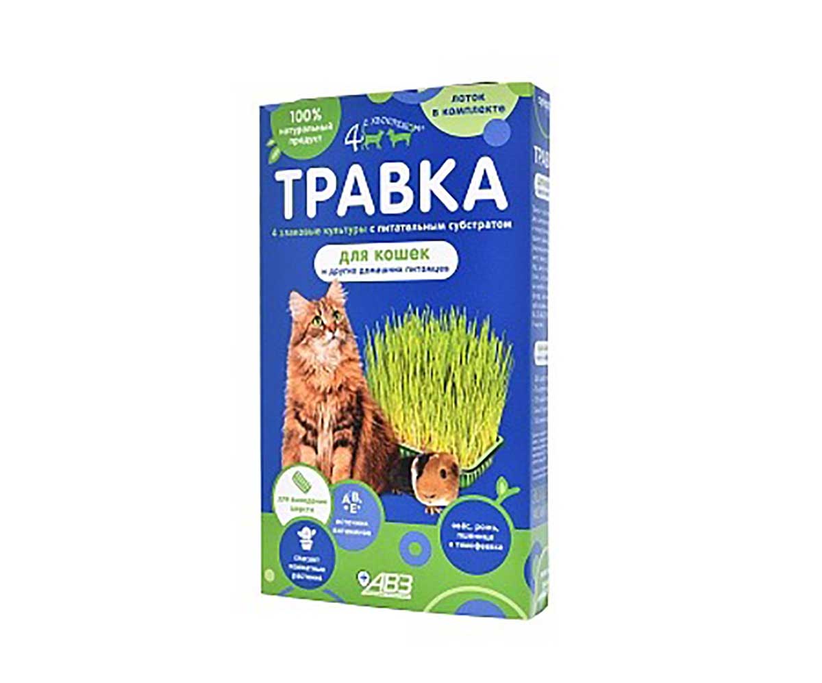 Четыре с Хвостиком Травка Для Кошек