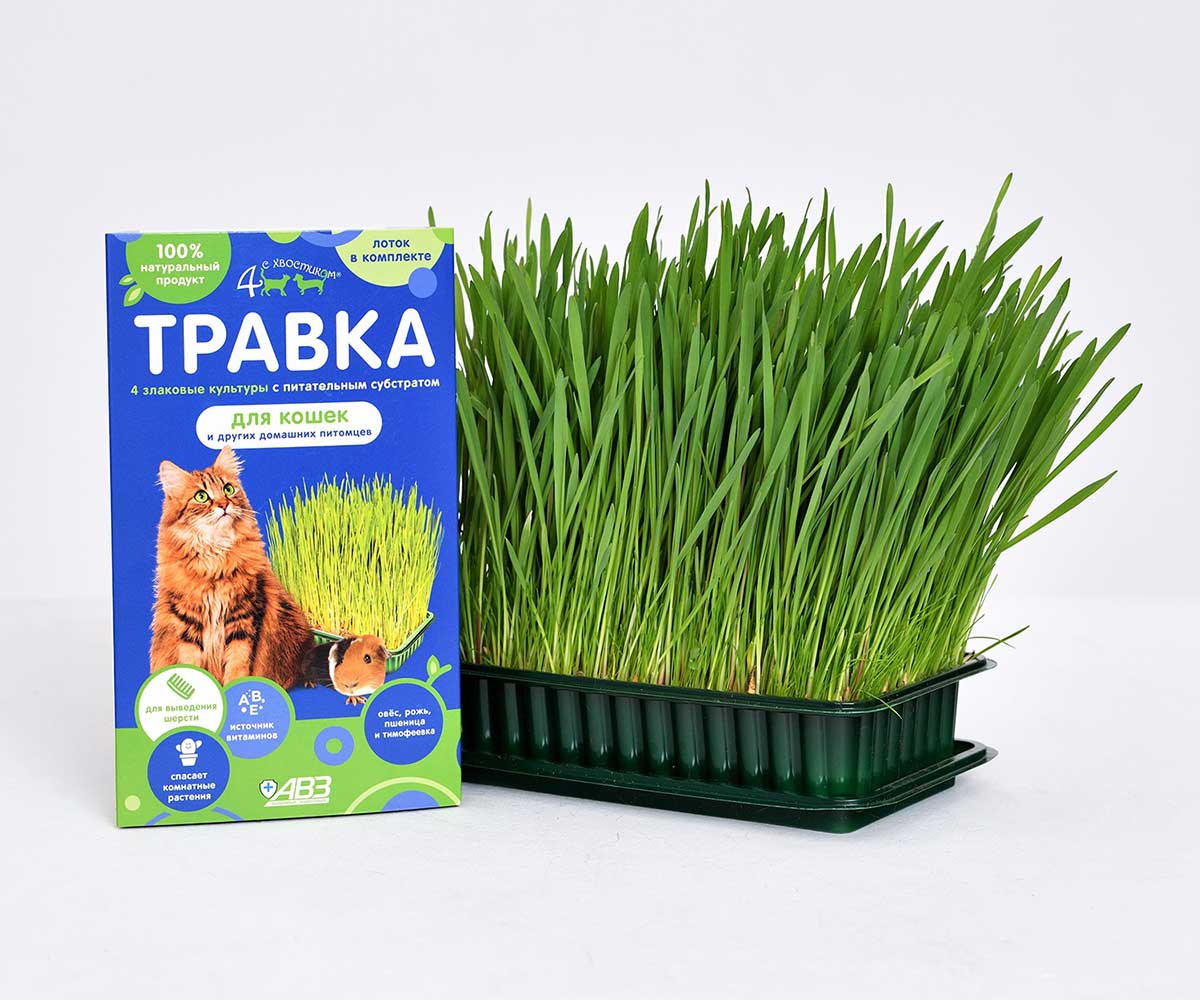 Четыре с Хвостиком Травка Для Кошек