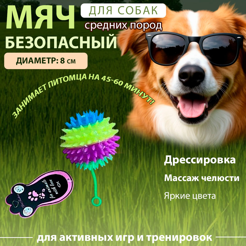 Игрушка Pet Fashion (Пет Фешн) Ис-6 Сюрприз Шипы с Резинкой 8см