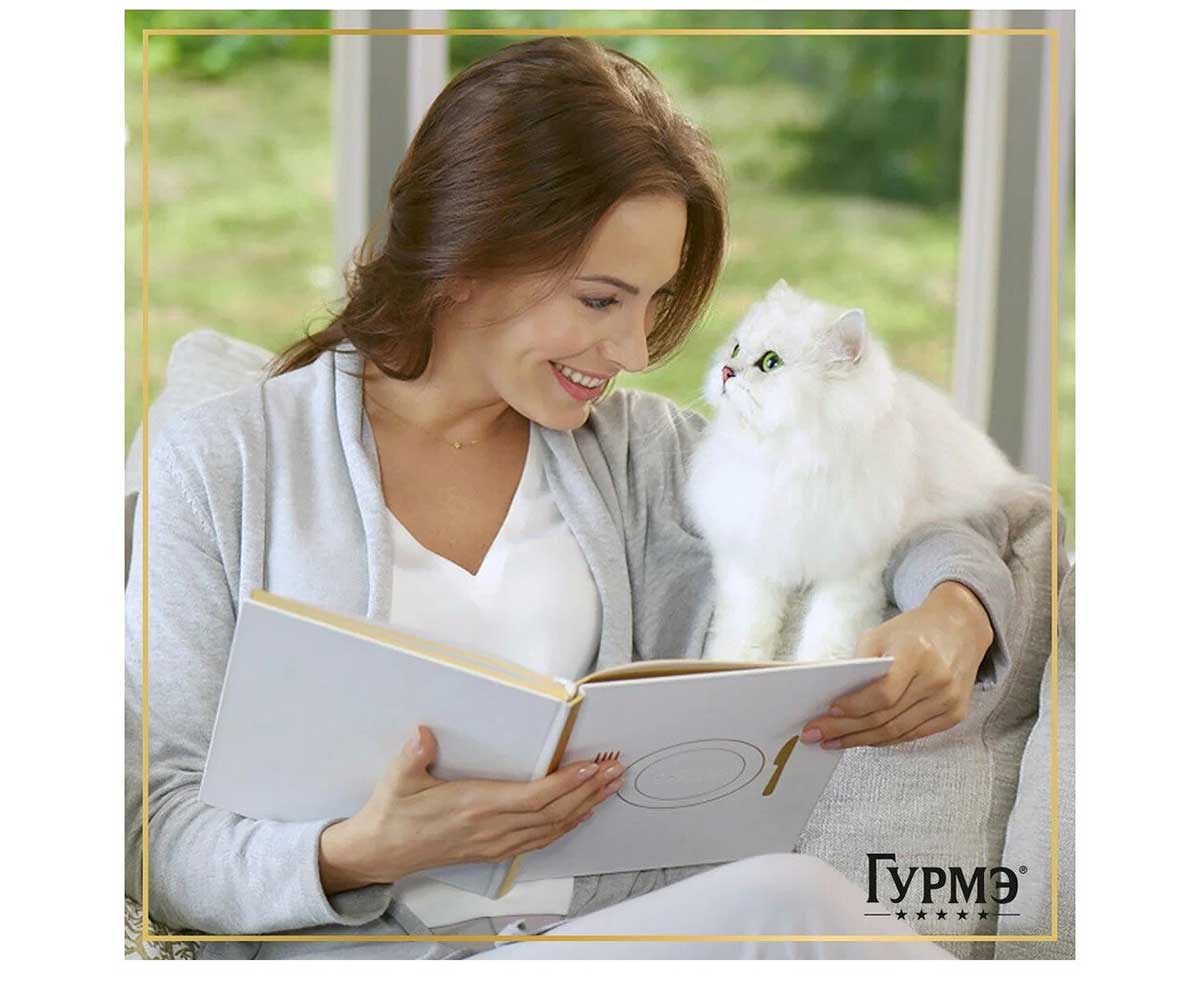 Влажный Корм Гурмэ Перл Для Кошек Курица в Соусе 75г (1*26)