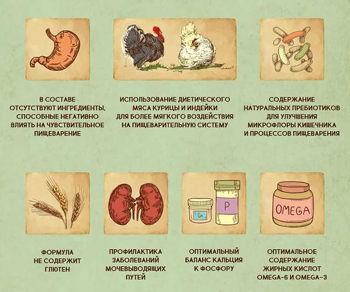 Сухой Корм Dezzie (Деззи) Для Кошек с Чувствительным Пищеварением Индейка и Курица Sensitive Digestion Cat 10кг 5659123