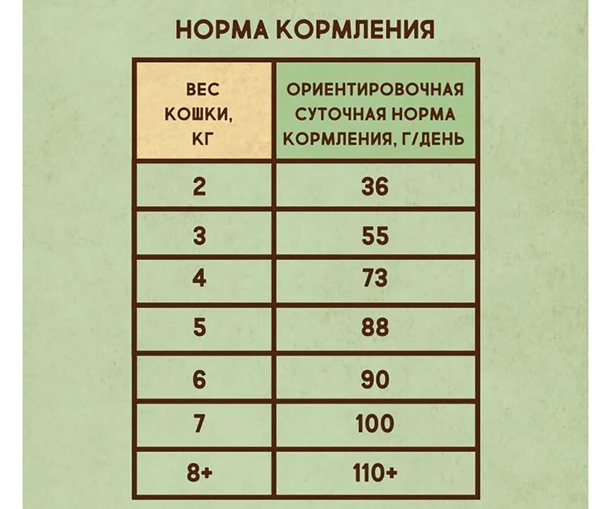 Сухой Корм Dezzie (Деззи) Для Кошек с Чувствительным Пищеварением Индейка и Курица Sensitive Digestion Cat 10кг 5659123