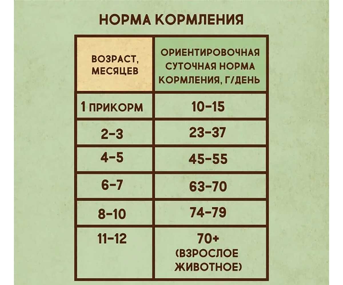 Сухой Корм Dezzie (Деззи) Для Котят Курица и Индейка Kitten 400г 5659100