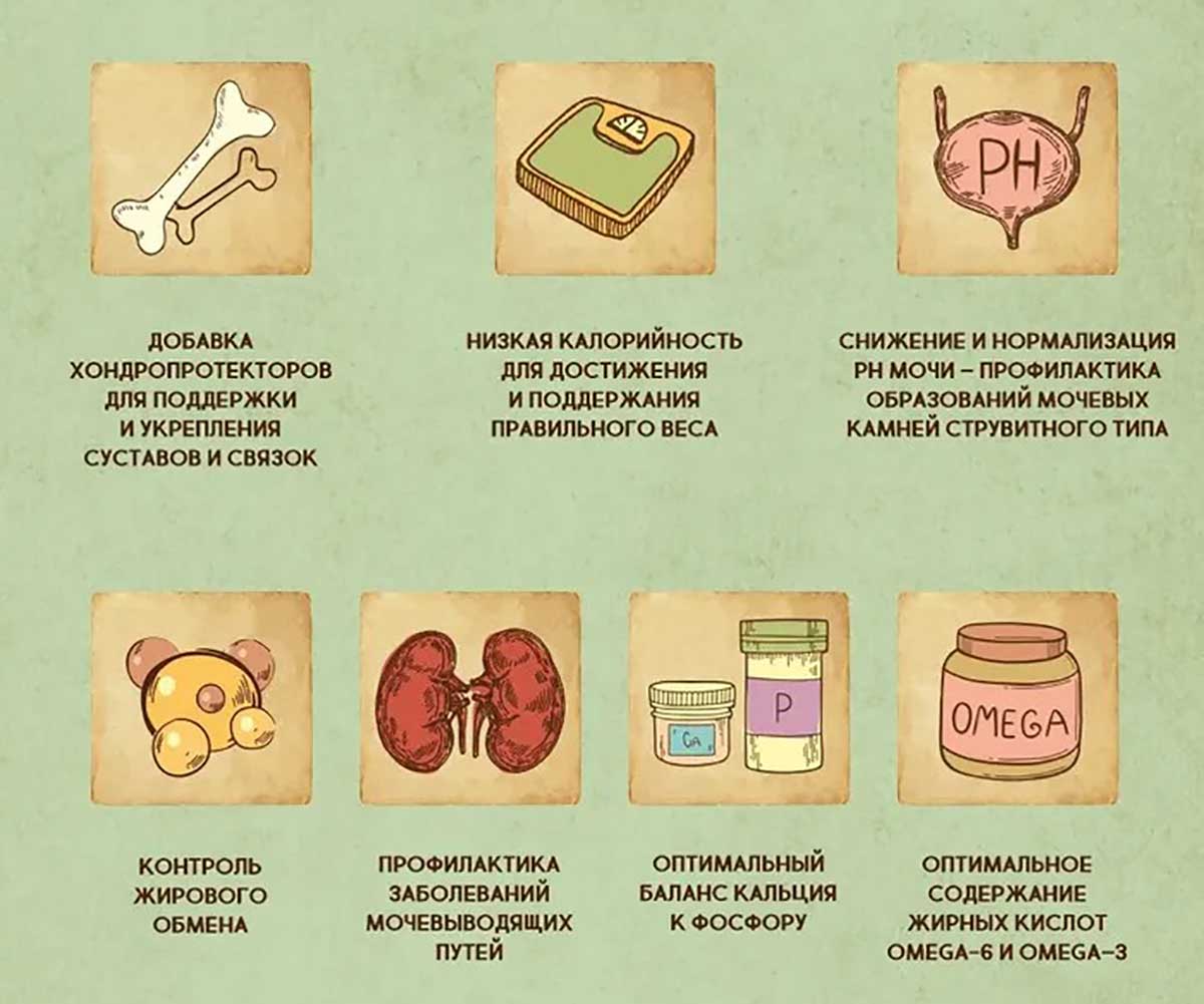 Сухой Корм Dezzie (Деззи) Для Стерилизованных Кошек Курица и Говядина Sterilized Cat 10кг 5659133