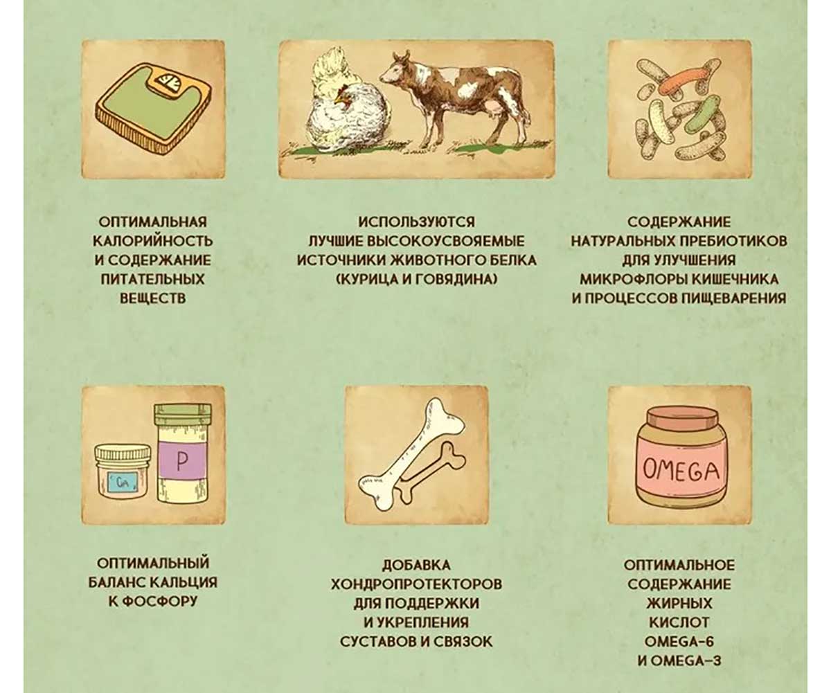 Сухой Корм Dezzie (Деззи) Для Собак Курица и Говядина Adult Dog 800г 5659040