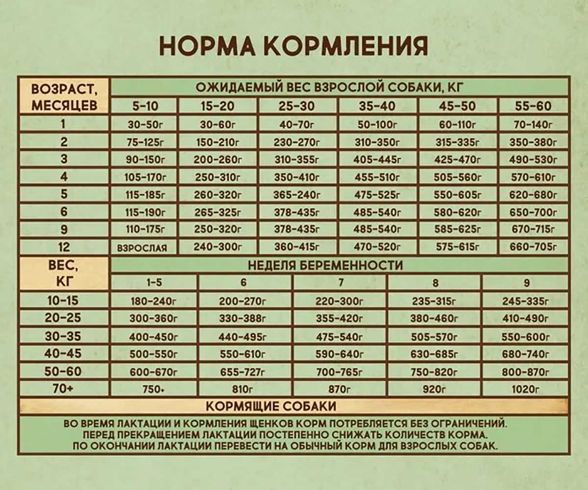 Сухой Корм Dezzie (Деззи) Для Щенков Курица и Индейка Puppy 800г 5659000
