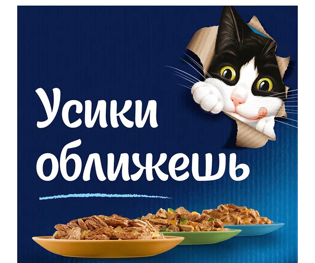 Влажный Корм Felix (Феликс) Мясные Ломтики Утка 26 Штук в Блоке 75г (1*1)