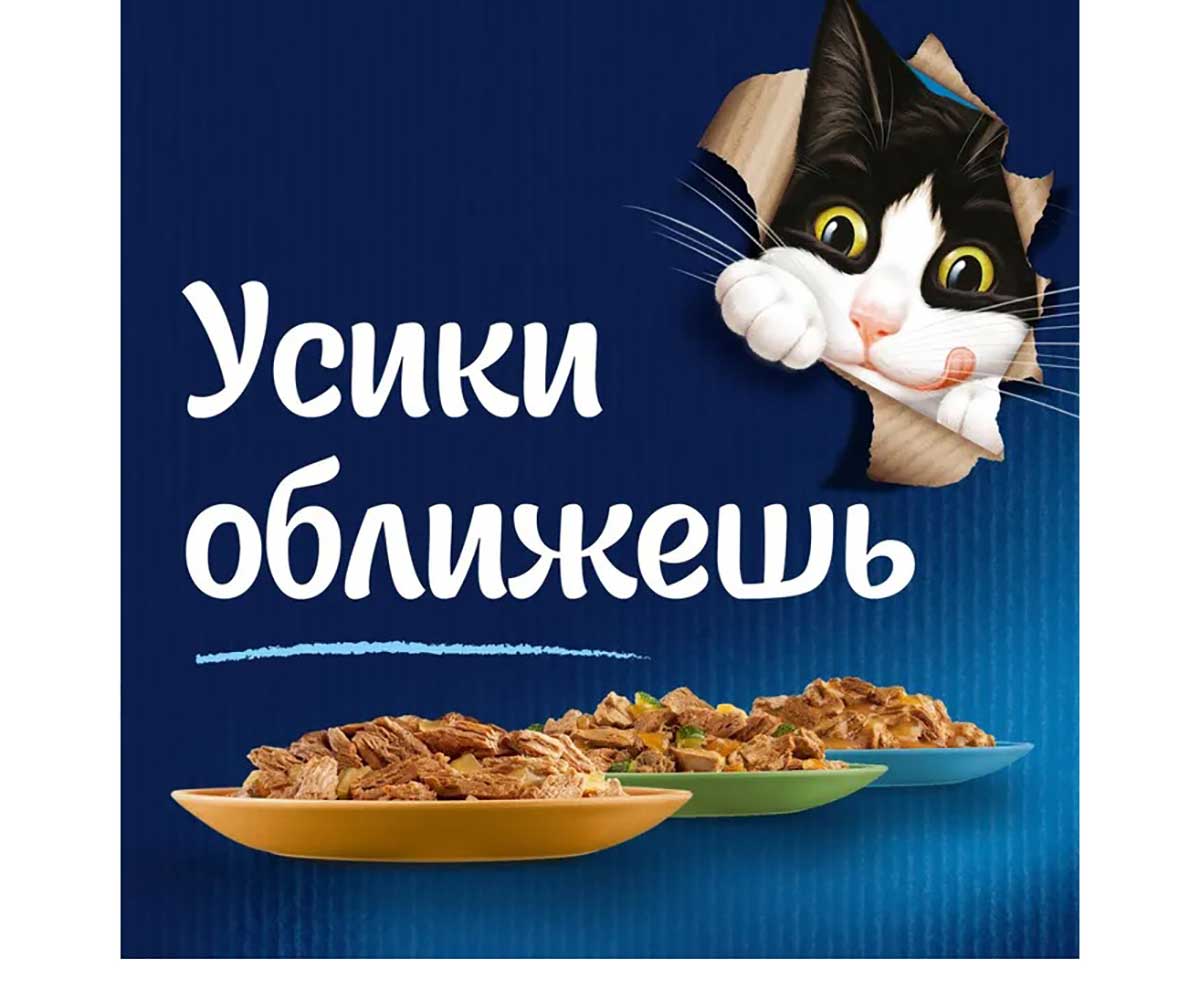 Влажный Корм Felix (Феликс) Двойной Вкус Для Кошек Говядина и Птица в Желе 26 Штук В Блоке 75г (1*1)