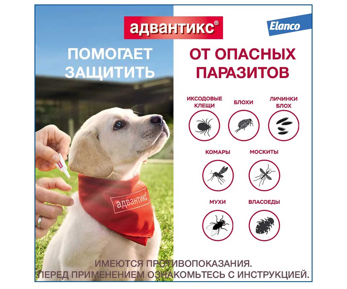 Капли Адвантикс Для Собак 25-40кг 4мл 1-Пипетка От Блох Клещей