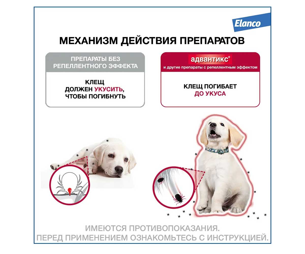 Капли Адвантикс Для Собак 25-40кг 4мл 1-Пипетка От Блох Клещей