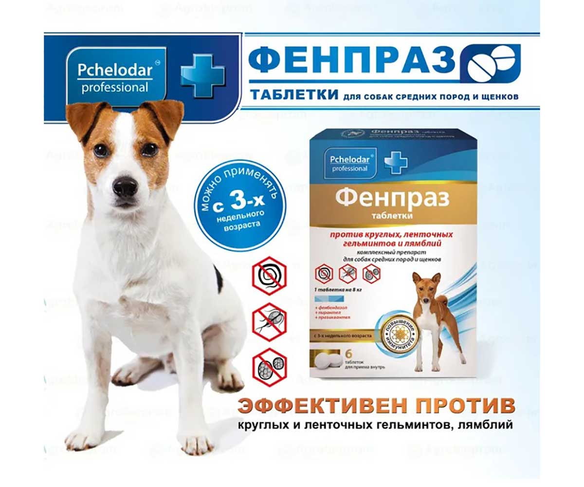 Пчелодар Фенпраз 6-Таблеток Для Средних Собак Универсальный Антигельминтик