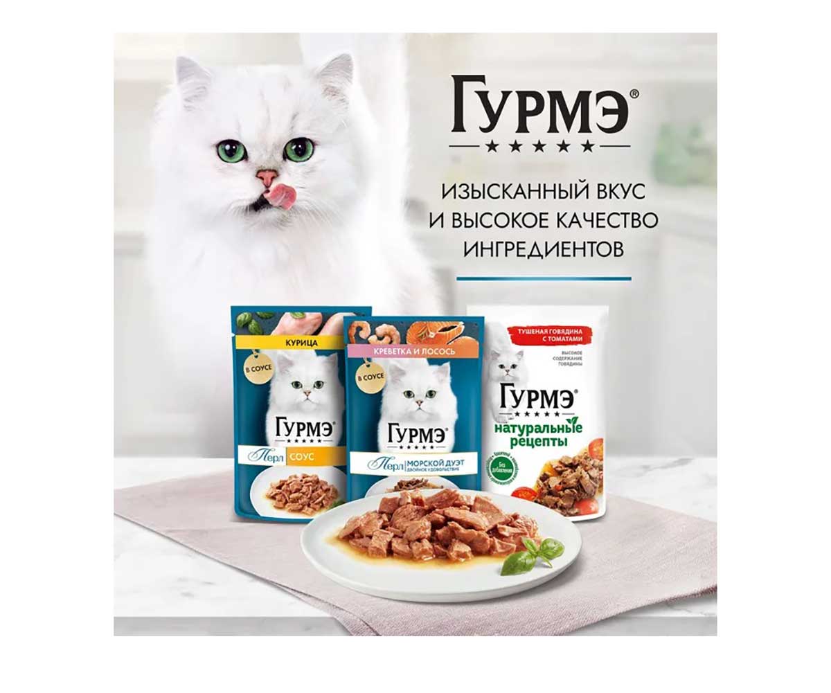Влажный Корм Гурмэ Для Кошек Натуральные Рецепты Курица и Морковь 26 Шт в Блоке 75г (1*1)
