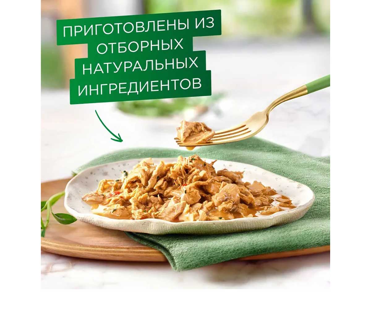 Влажный Корм Гурмэ Для Кошек Натуральные Рецепты Курица и Морковь 26 Шт в Блоке 75г (1*1)