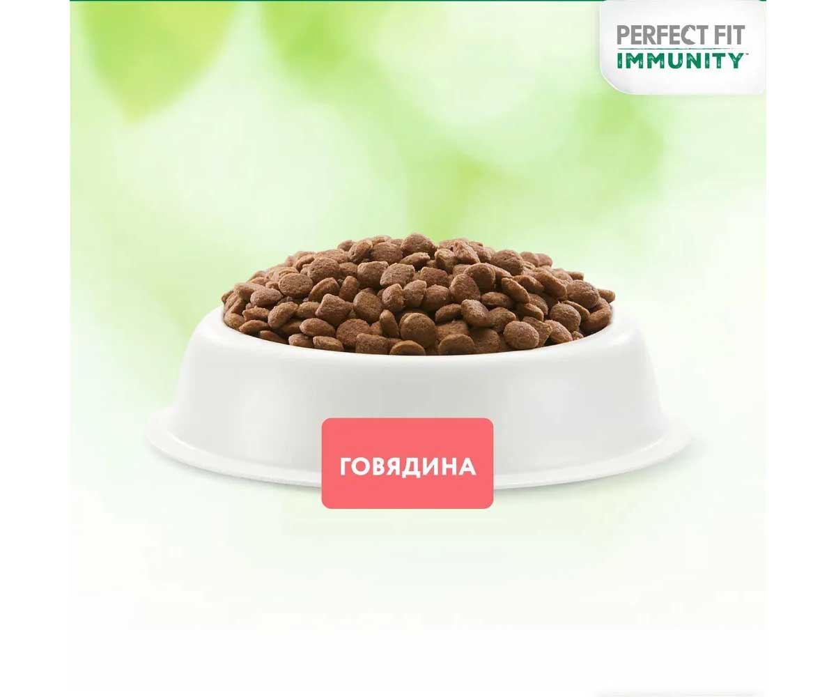 Сухой Корм Perfect Fit (Перфект Фит) Для Кошек Иммунитет Говядина, Лен и Голубика 1,1кг (1*6)