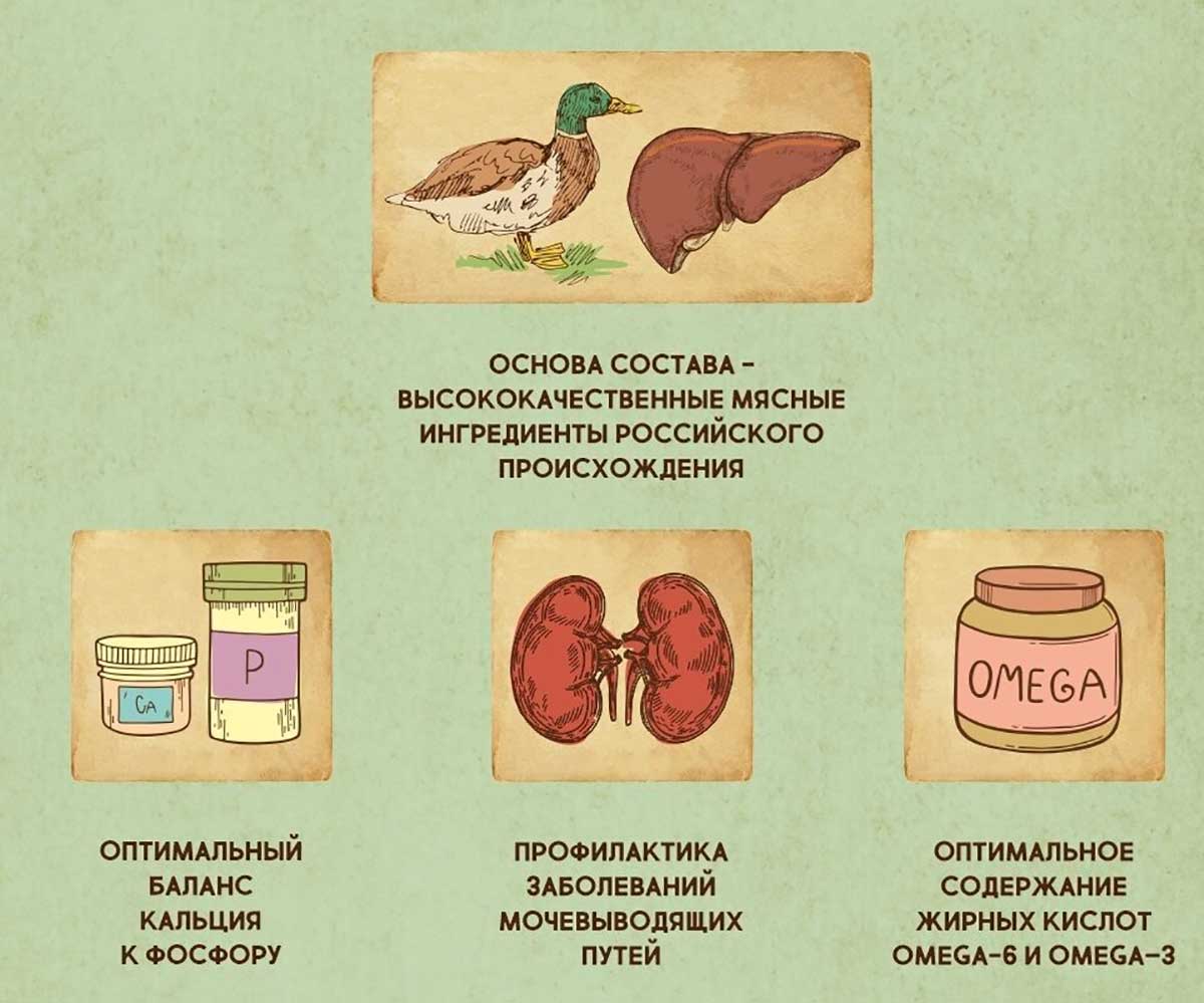 Влажный Корм Dezzie (Деззи) Для Кошек Утка И Печень в Соусе Adult Cat Duck/Liver 85г 5657071 (1*12)