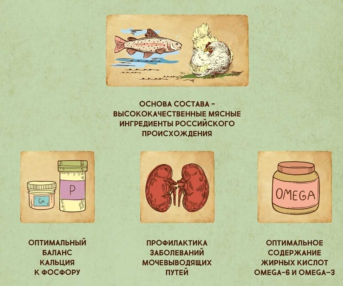 Влажный Корм Dezzie (Деззи) Для Стерилизованных Кошек Форель в Соусе Sterilized Cat Trout 85г 5657075 (1*12)