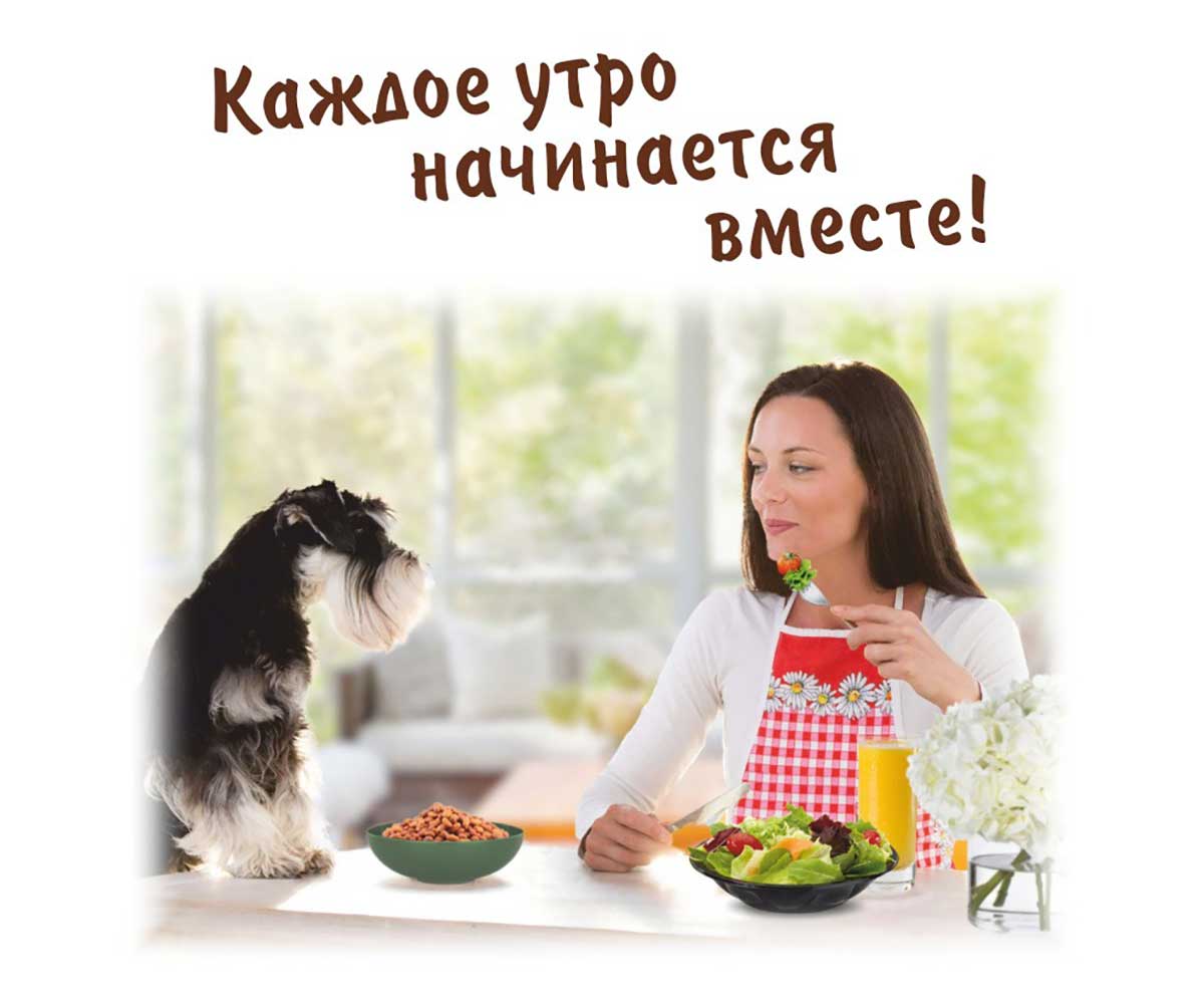 Лакомство TitBit (Титбит) Для Собак Завтрак Хрустящий с Говядиной 700г 024959
