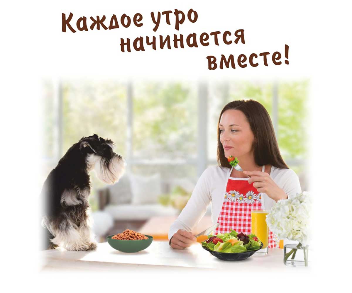 Лакомство TiTBiT (Титбит) Для Собак Завтрак Хрустящий с Бараниной 700г 024935