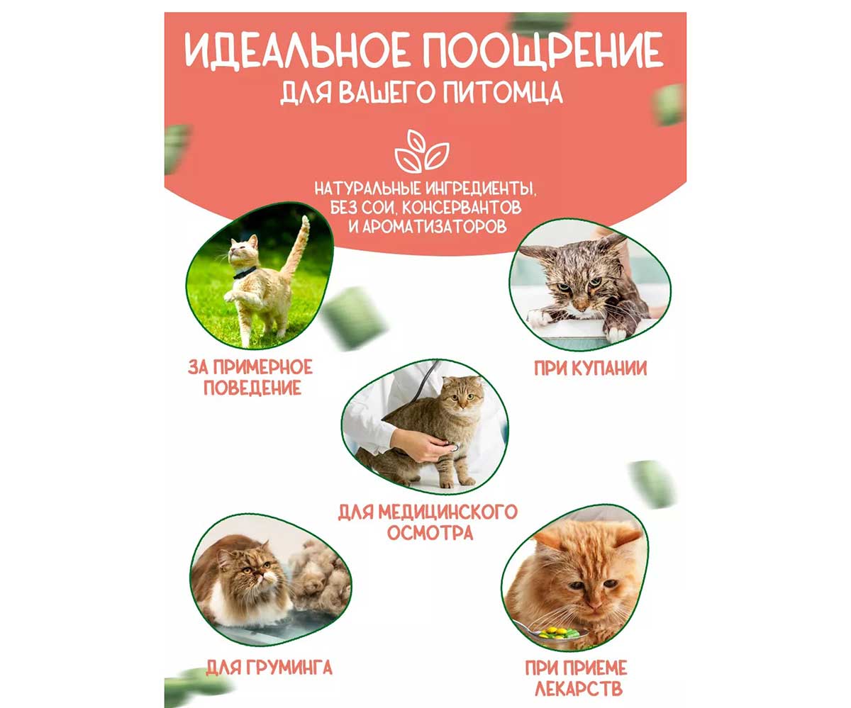 Лакомства Деревенские Лакомства Для Кошек Чистим Зубы Подушечки с Кремом Из Лосося 30г 79212723