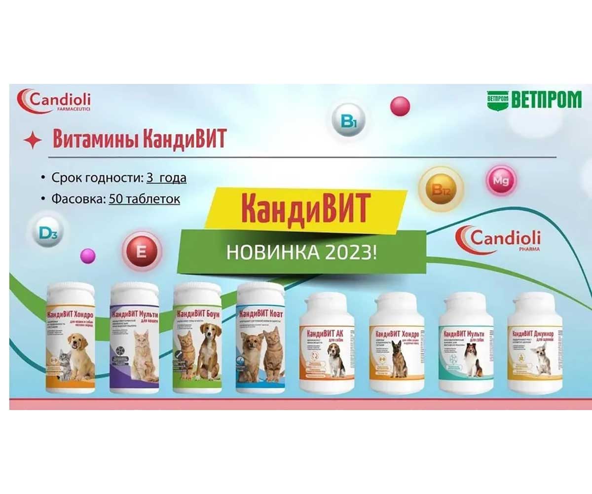 Витамины Кандивит Мульти Для Кошек 50-Таблеток