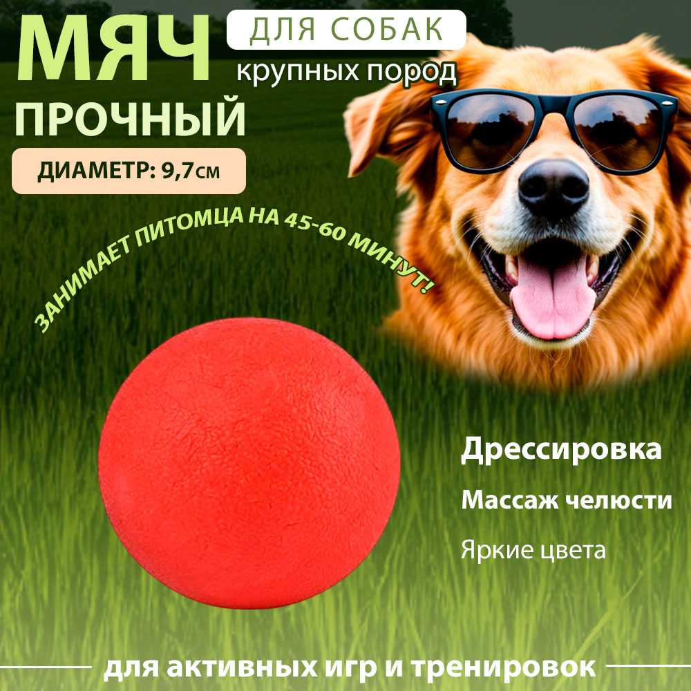 Игрушка Для Собак Мяч Утяжеленный Термопластичная Резина 10922-0218 350г 8,5см