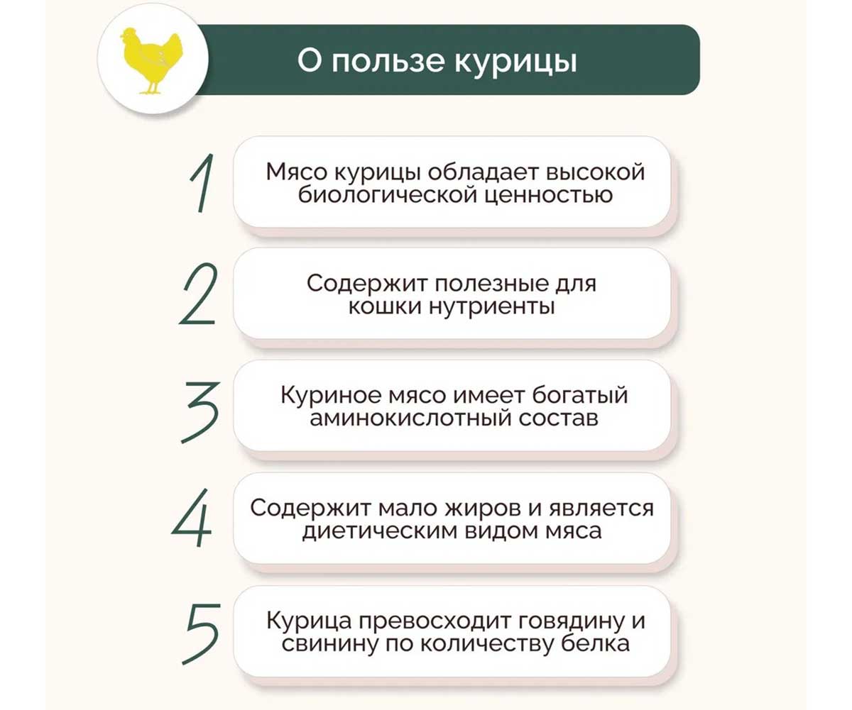 Влажный Корм Petextra (Петэкстра) Для Кошек Фермерская Курочка Паштет 100г (1*16)