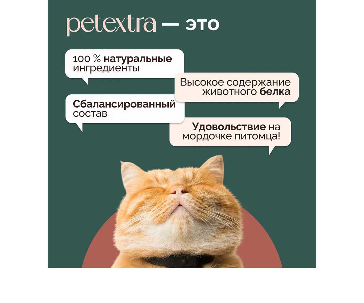 Влажный Корм Petextra (Петэкстра) Для Кошек Фермерская Курочка Паштет 100г (1*16)