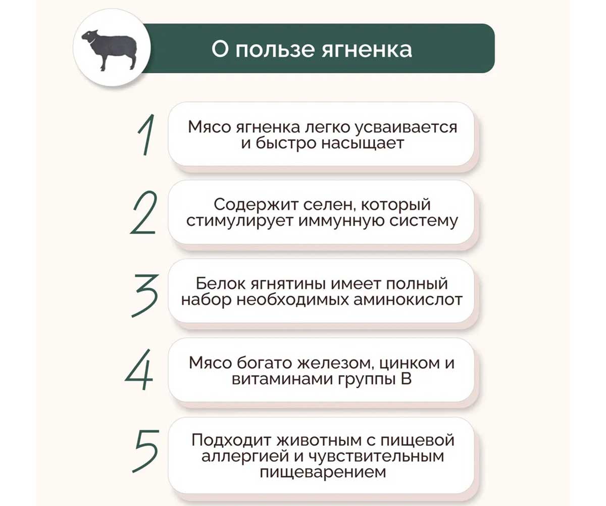 Влажный Корм Petextra (Петэкстра) для Кошек Ягненок Сочный Паштет 100г (1*16)