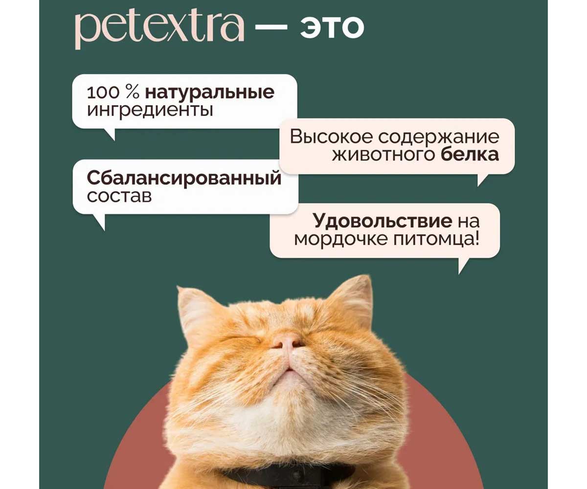 Влажный Корм Petextra (Петэкстра) для Кошек Ягненок Сочный Паштет 100г (1*16)