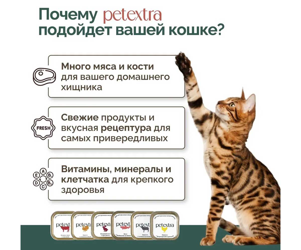 Влажный Корм Petextra (Петэкстра) для Кошек Ягненок Сочный Паштет 100г (1*16)
