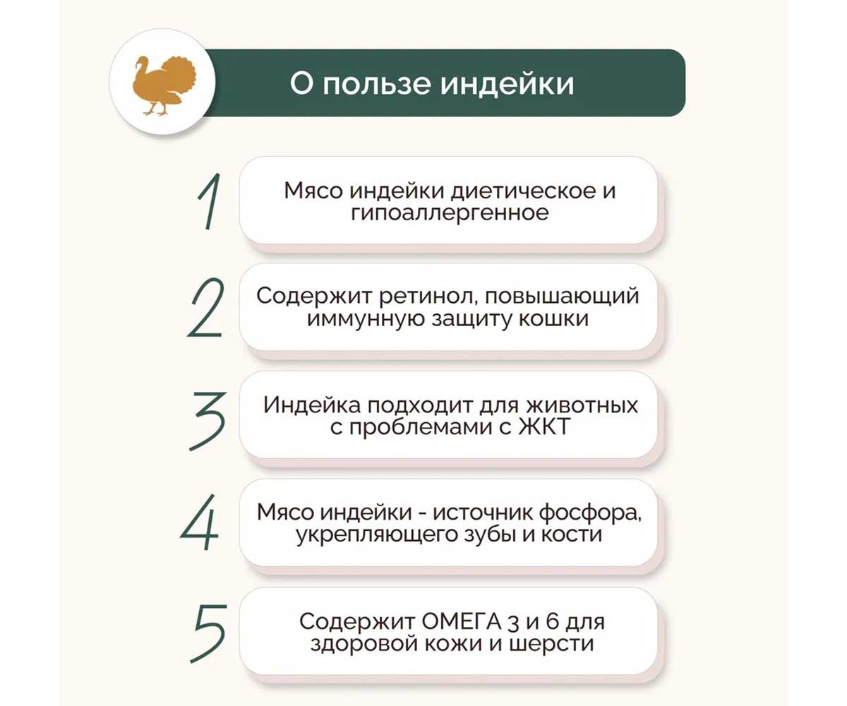 Влажный Корм Petextra (Петэкстра) Для Кошек Индейка Сочная Паштет 100г (1*16)