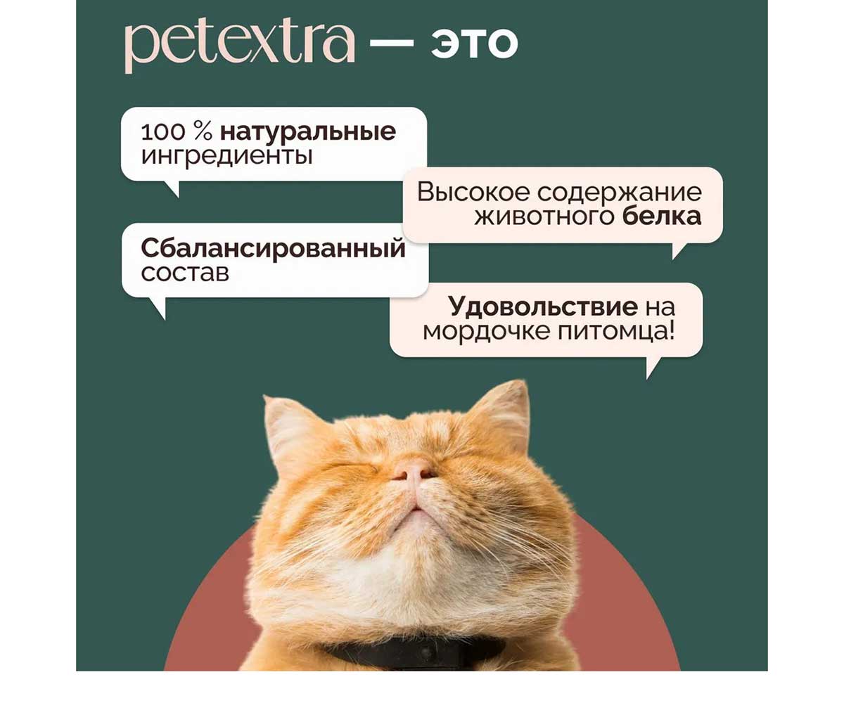 Влажный Корм Petextra (Петэкстра) Для Кошек Индейка Сочная Паштет 100г (1*16)
