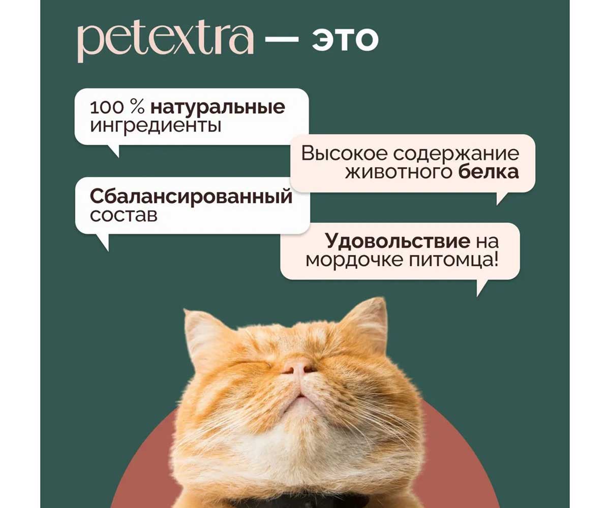 Влажный Корм Petextra (Петэкстра) Для Кошек Говядина Нежное Суфле 100г (1*16)
