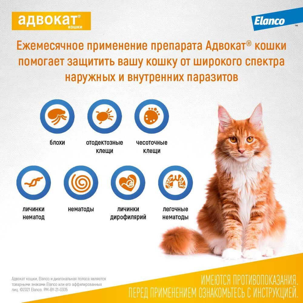 Адвокат Капли Для Кошек 4-8кг От Чесоточных Клещей, Блох и Гельминтов 0,8мл 1-Пипетка На Холку Elanco (Эланко)