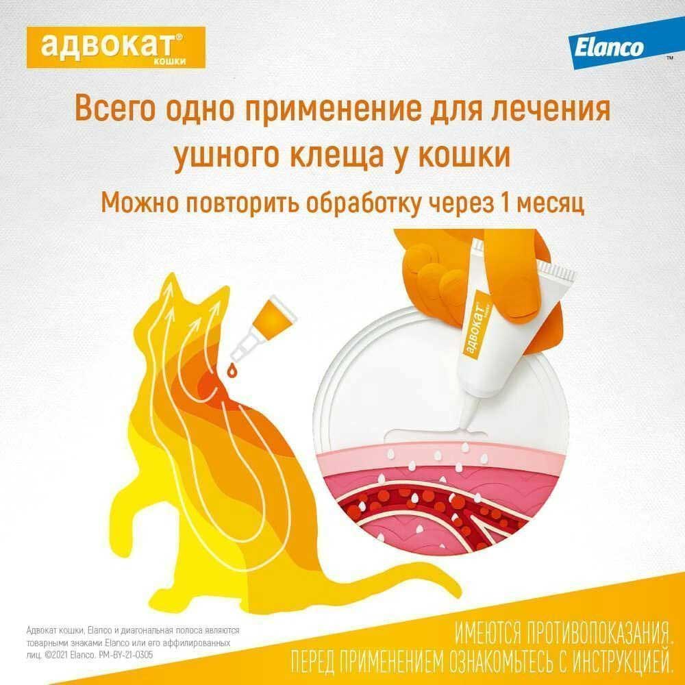 Адвокат Капли Для Кошек 4-8кг От Чесоточных Клещей, Блох и Гельминтов 0,8мл 1-Пипетка На Холку Elanco (Эланко)