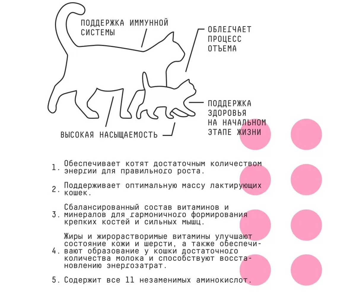 Сухой Корм Ajo (Аджо) Для Котят Индейка 1,5кг (1*6)