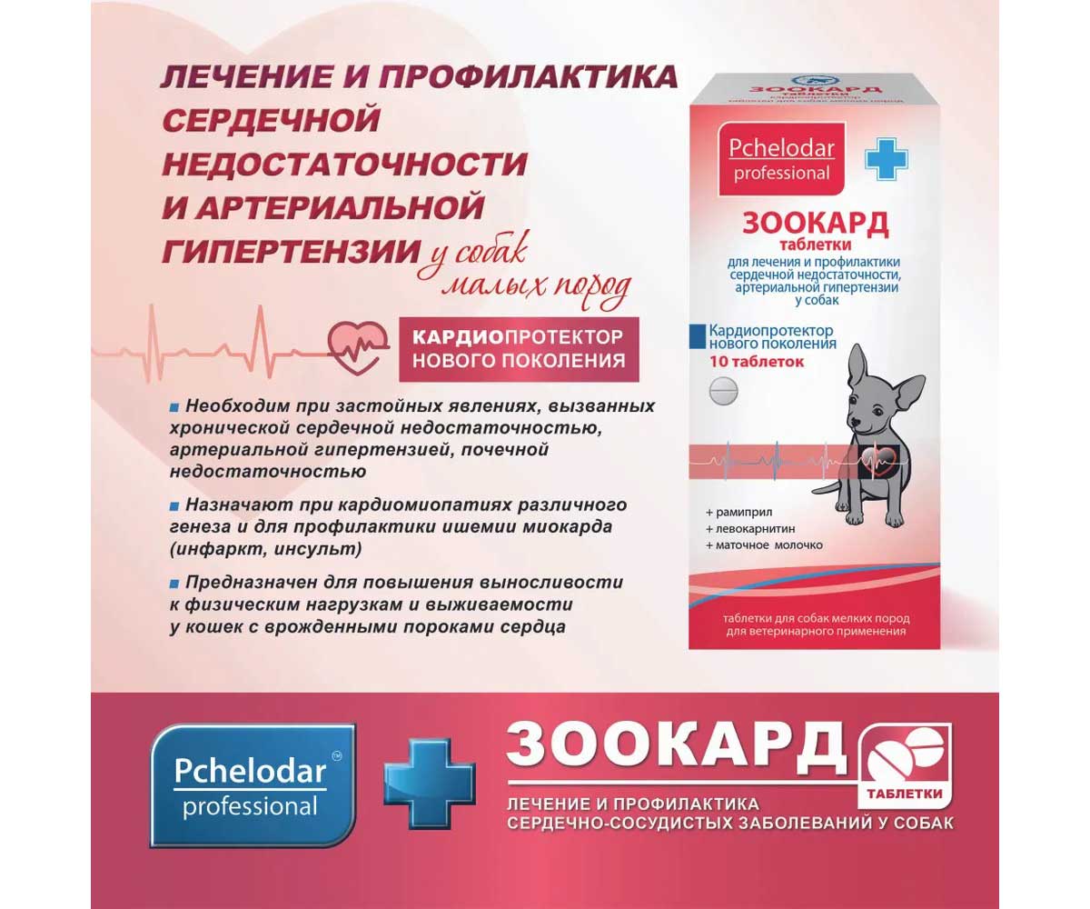 Таблетки Зоокард Пчелодар Для Лечения и Профилактики Сердечной Недостаточности и Артериальной Гипертензии 10-Таблеток Блистер Для Собак Мелких Пород
