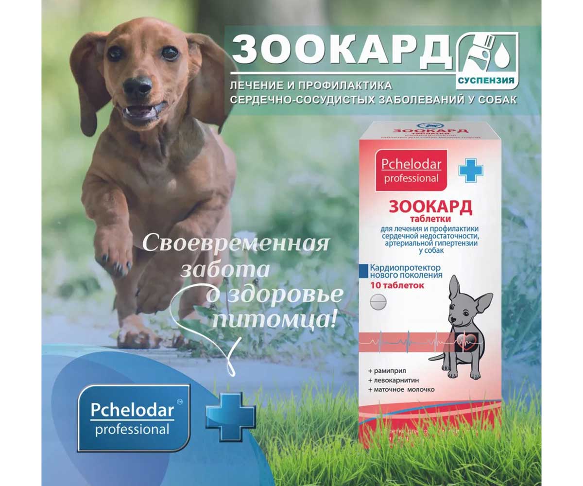 Таблетки Зоокард Пчелодар Для Лечения и Профилактики Сердечной Недостаточности и Артериальной Гипертензии 10-Таблеток Блистер Для Собак Мелких Пород