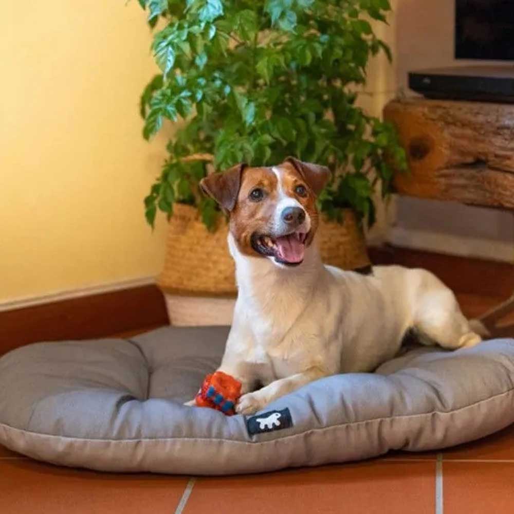 Подушка Ferplast (Ферпласт) Relax 65/6 с Пропиткой Sanitized 83326599