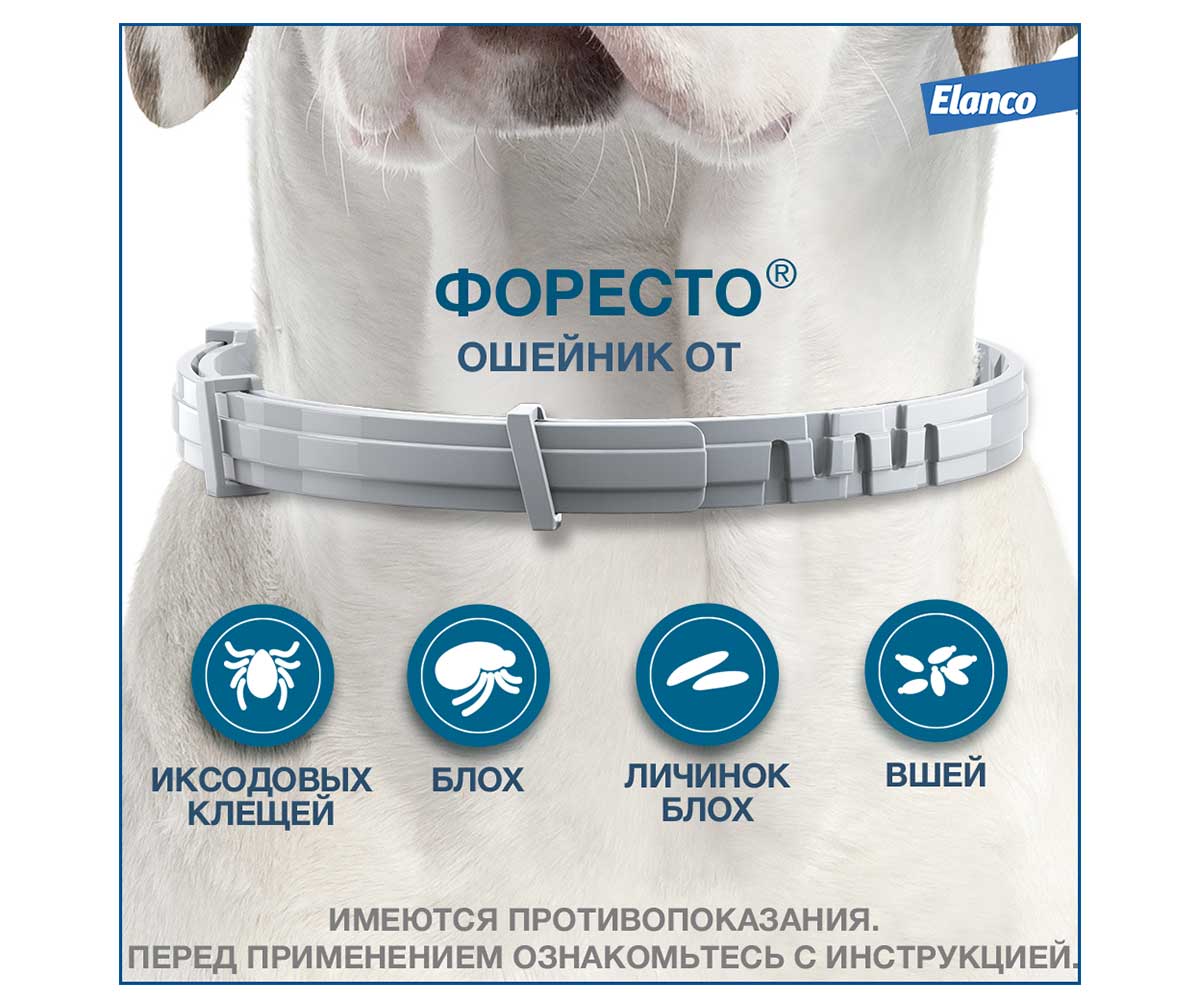 Форесто Ошейник От Клещей и Блох Для Собак От 8кг Защита 8 Мес 70см Foresto L Elanco