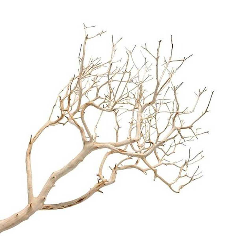 Грот Коряга Udeco (Юдеко) Thai Tree M 0,1-0,2кг Тайское Дерево Udc12150