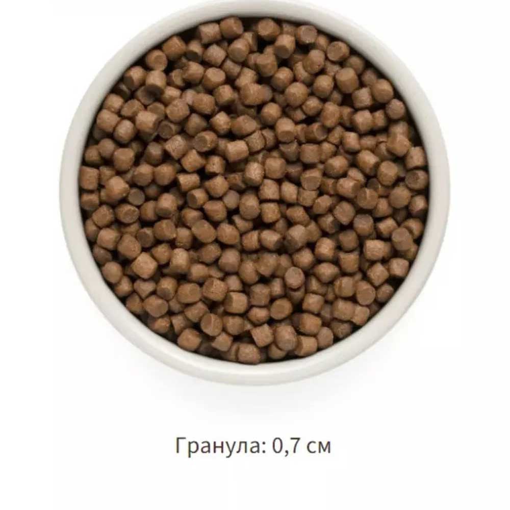 Сухой Корм Grandorf (Грэндорф) Dog Probiotic Adult Mini Для Собак Мелких Пород 4-Мяса 1кг 1096