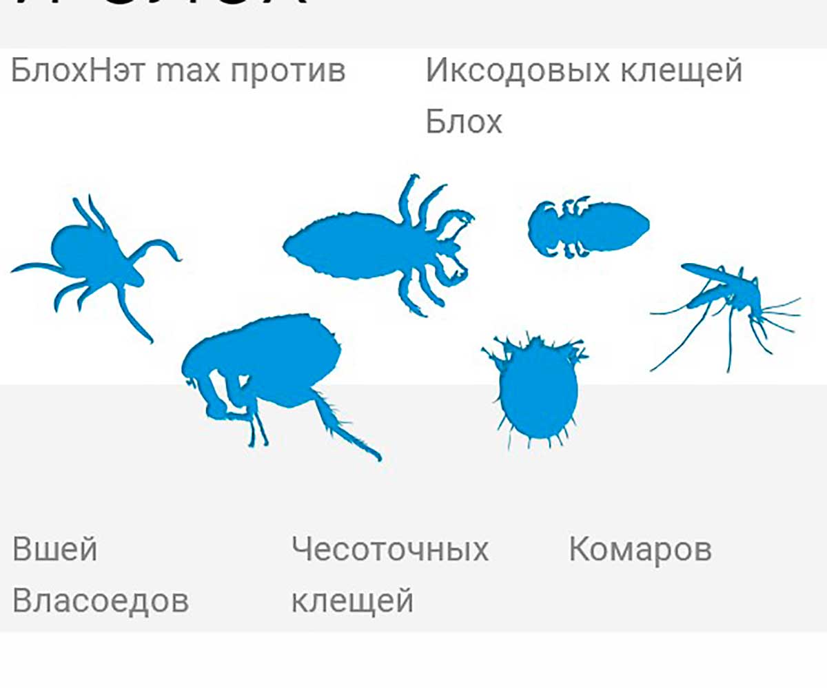 БлохНэт Max Капли От Блох и Клещей Для Собак 10-20кг 2мл Астрафарм