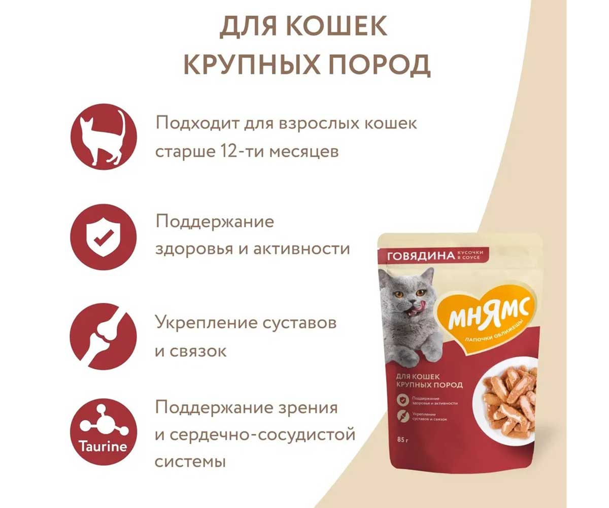 Влажный Корм Мнямс Для Кошек Крупных Пород Говядина Кусочки в Соусе 85г