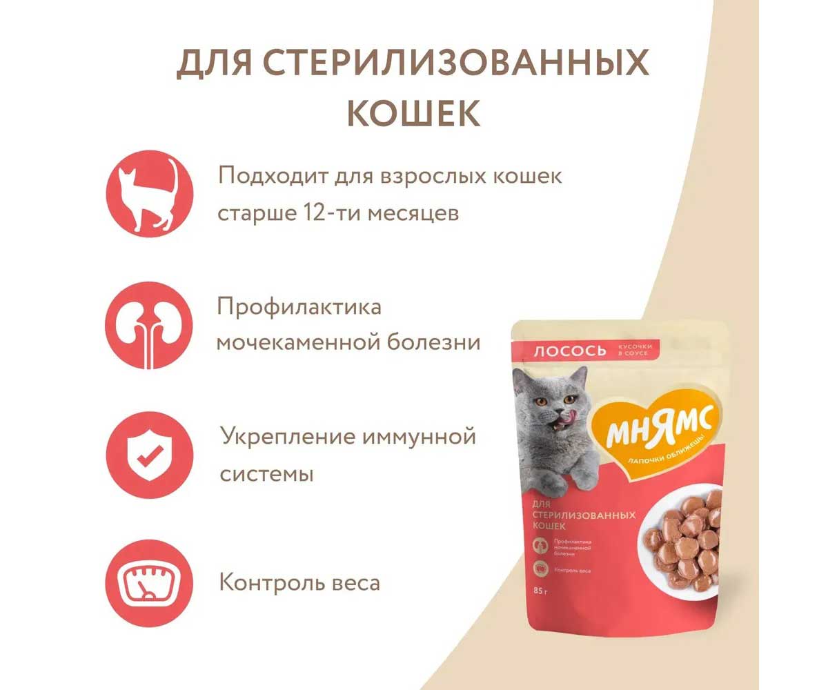 Влажный Корм Мнямс Для Стерилизованных Кошек Лосось Кусочки в Соусе 85г