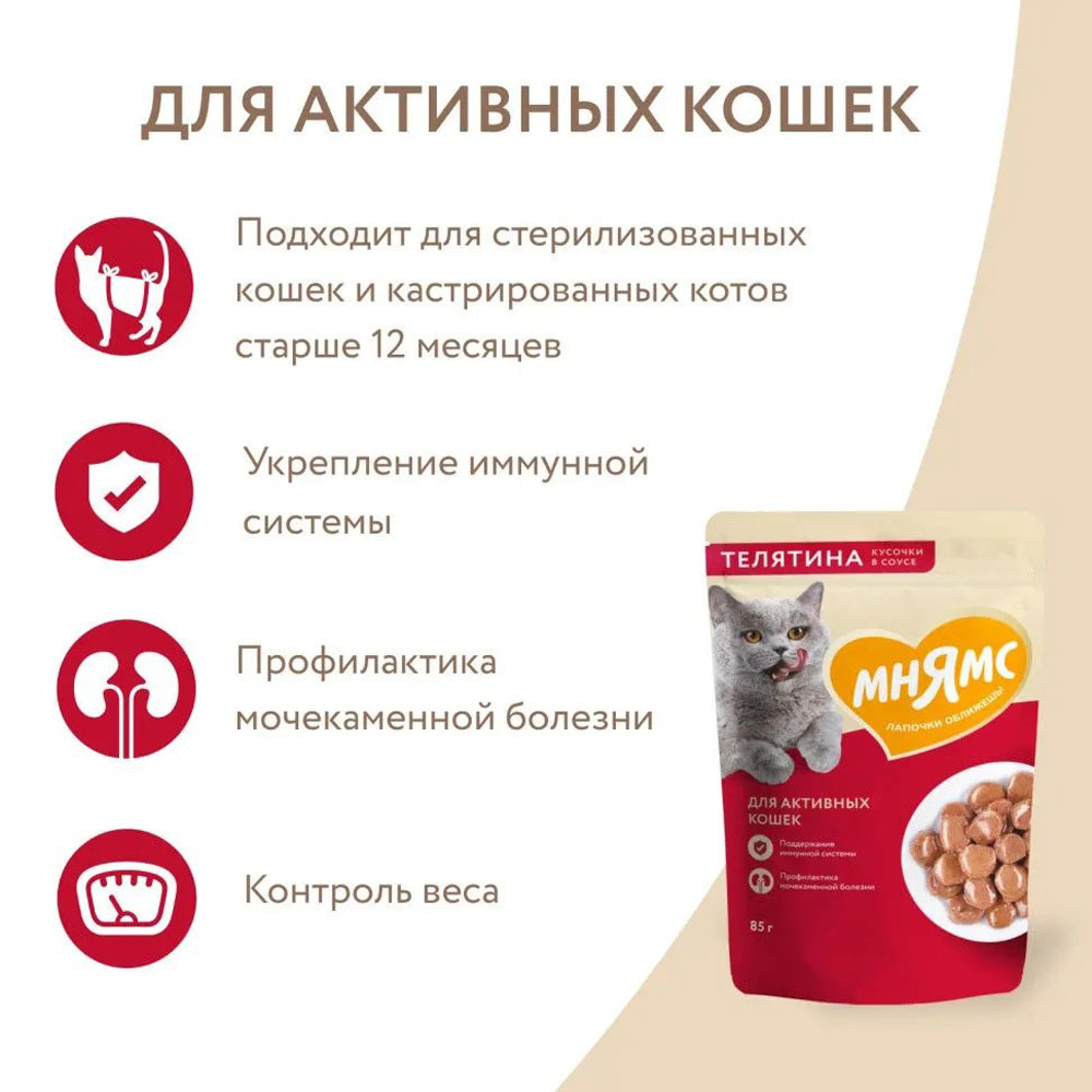 Влажный Корм Мнямс Для Активных Кошек Телятина Кусочки в Соусе 85г